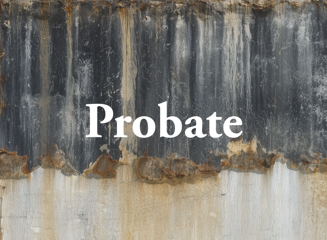 Probate delays: don’t  shoot the messenger